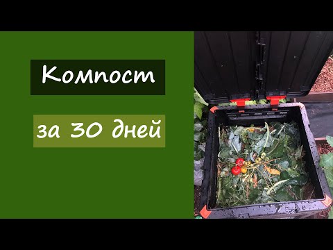 Видео: Идеальный компост за 30 дней