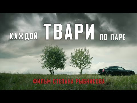 Видео: ТВАРИ (короткометражный фильм)
