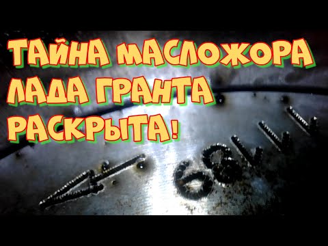 Видео: Расход масла Лада Гранта. Почему он такой высокий и куда оно уходит. Видеоэндоскопия цилиндров.