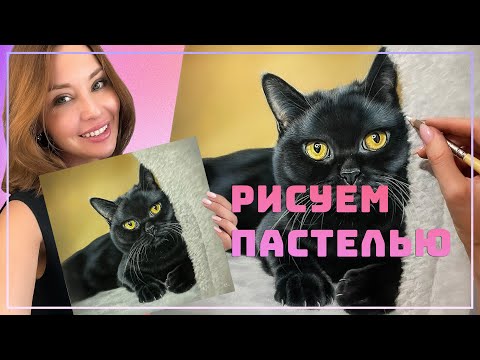 Видео: ЧЕРНЫЙ КОТ ПАСТЕЛЬЮ