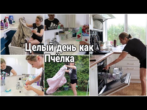 Видео: 🔥МОЩНАЯ МОТИВАЦИЯ | КАК ХРАНЮ ГЕЛИ ДЛЯ СТИРКИ НОВАЯ СТИРАЛЬНАЯ МАШИНА #юлияпушнегина #уборка #стирка