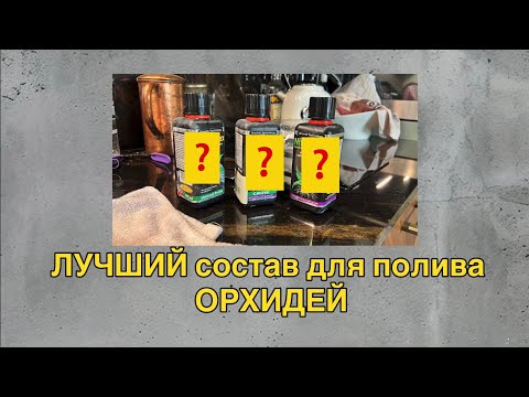 Видео: Чтобы орхидея из магазина цвела дома круче, чем в магазине! 🔥