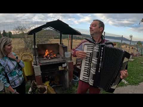 Видео: Акордеон Велизар Цонев  в  Цигов чарк