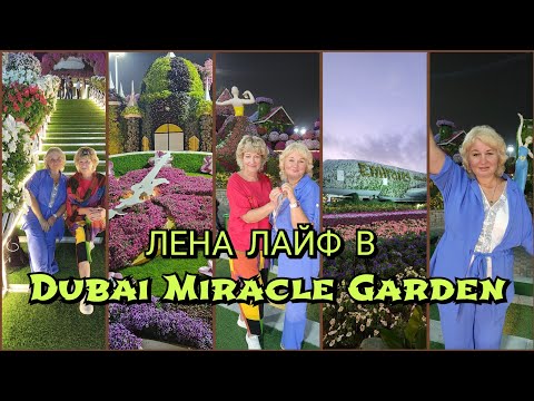Видео: Отдых в Дубае в декабре Море Можно ли купаться Dubai Miracle Garden Цены Что посмотреть?