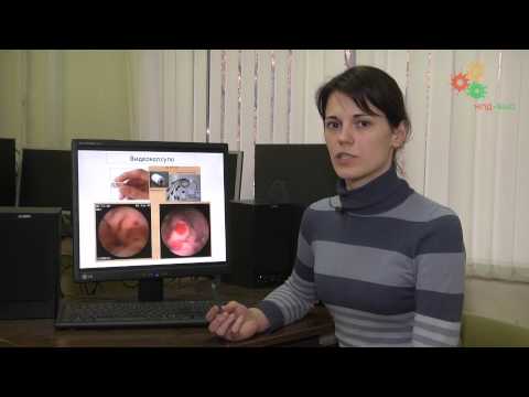 Видео: Физиология человека. Эндоскопические исследования (О. Бунцева)