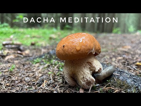 Видео: Сентябрьская дачная медитация на 10 ароматов и 5 мистов для лица