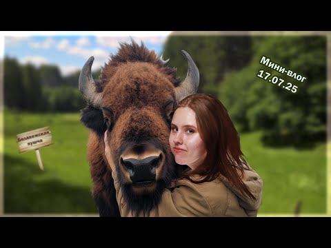 Видео: ПУТЕШЕСТВИЕ В БЕЛОВЕЖСКУЮ ПУЩУ|17.07.25