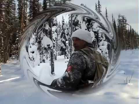 Видео: Выезд на избу.Охота на лося .Зимний лес.