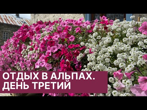 Видео: ЛИВИНЬО. ЦВЕТОЧНЫЙ БЕСПРЕДЕЛ