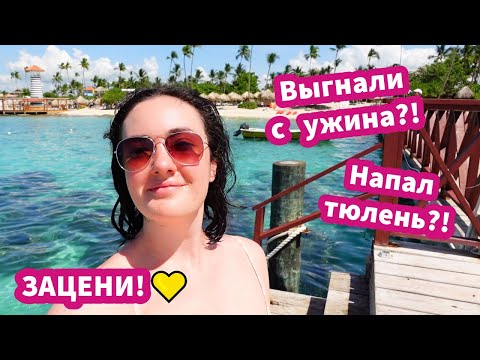 Видео: Оцениваем Отель ⭐ Пять Звезд ⭐ В Доминикане / Catalonia Royal La Romana - ЗАЦЕНИ! ✅