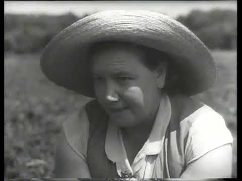 Видео: Биологические основы выращивания семян овощных культур