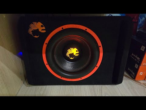 Видео: Бюджетный, но красивый - DL Audio Piranha 12 V.2 SE