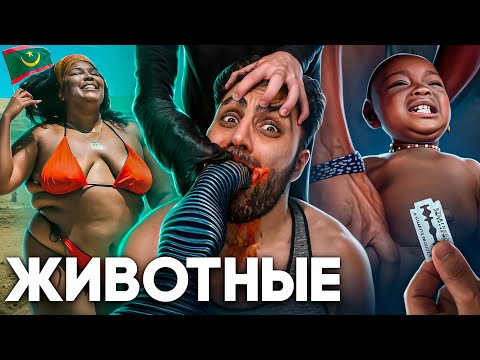 Видео: Мавритания - Королевство Рабов