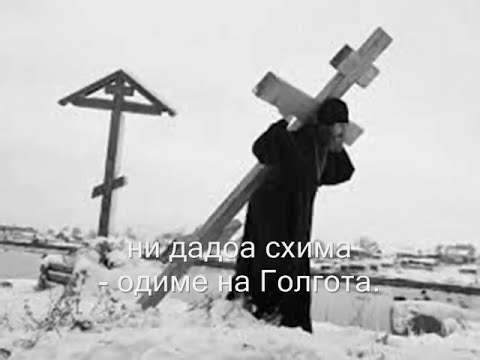 Видео: In the midst of the Desert beauty - Во пустинската красота