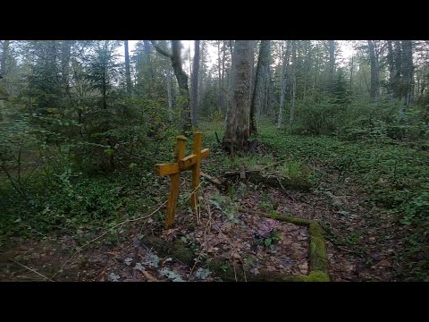Видео: УСТАНОВИЛ КАМЕРЫ НА КЛАДБИЩЕ И ЗАСНЯЛ РЕАЛЬНОГО ПРИЗРАКА VIDEO OF A REAL GHOST IN A CEMETERY
