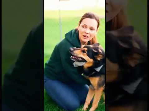 Видео: Половина ТУТ... Половина ТАМ... Проволока РЕЖЕТ кожу 😱🔗💔