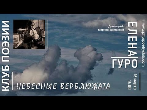 Видео: Клуб поэзии. Елена Гуро. Небесные верблюжата. 14.03.2019
