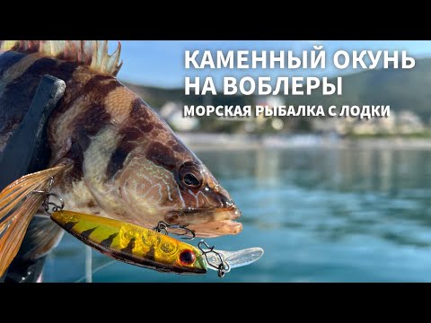 Видео: Ловля каменного окуня с лодки на воблеры. Рыбалка на Черном море.