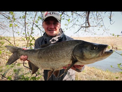 Видео: Рыбалка на жереха в мае! Секрет богатого улова!