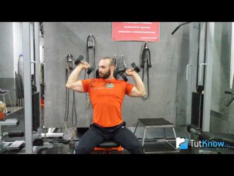 Видео: Ошибки жима гантелей сидя
