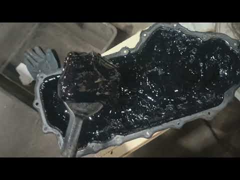 Видео: "Шоб я так жил, а не, шоб мне так везло"