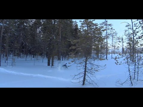 Видео: Охота на боровую дичь, на лунках