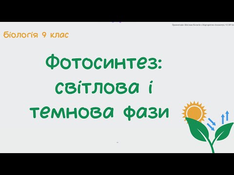 Видео: Біологія 9 клас Фотосинтез світлова і темнова фази