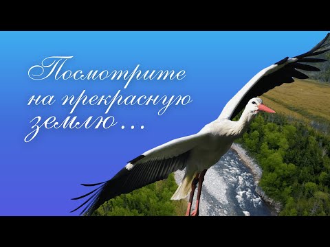 Видео: Посмотрите на прекрасную землю…
