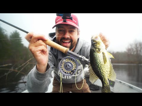 Видео: Как ловить краппи нахлыстом - подробно!