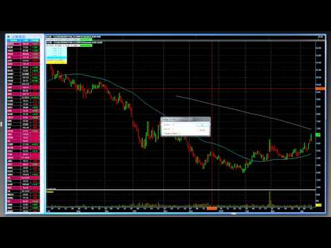 Видео: Александр Герчик. Вебинар - SDG Trade