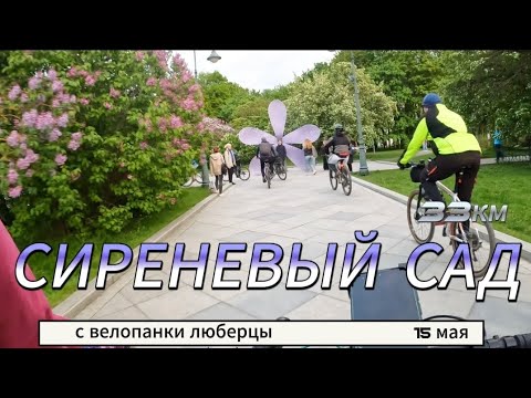 Видео: Еду на работу и с работы на велосипеде на вечернюю покатушку)