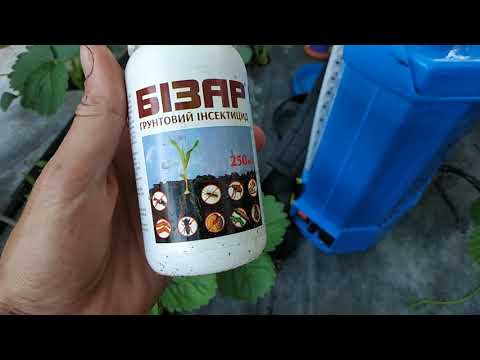 Видео: Подача удобрений с помощью аккумуляторного опрыскивателя.