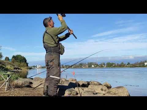 Видео: НАШЕЛ ,ГДЕ КЛЮЮТ      ЗДОРОВЕННЫЕ ЛЕЩИ .ТРЕШКИ,ДВУШКИ ,ПОЛТОРАШКИ.ЛОВЛЯ ЛЕЩА ОСЕНЬЮ НА РЕКЕ ВОЛХОВ