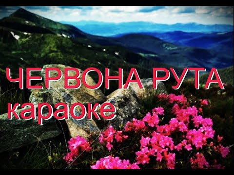 Видео: Червона рута КАРАОКЕ