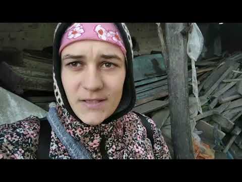 Видео: Блог з собакою, яка мене злякала вночі