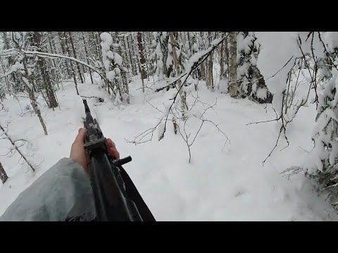 Видео: ОХОТА НА ЛОСЯ, НАШЁЛ ЦЕЛОЕ СТАДО! ДВА ДНЯ ИЗ ЖИЗНИ ОХОТНИКА! Moose hunting