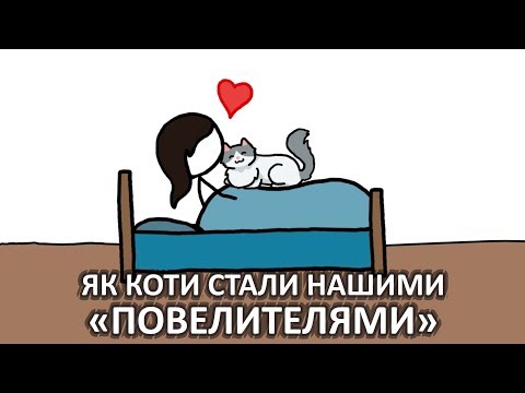 Видео: Як коти стали нашими «повелителями» [MinuteEarth]