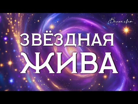 Видео: Звездная жива | запуск крови.  Часть 2