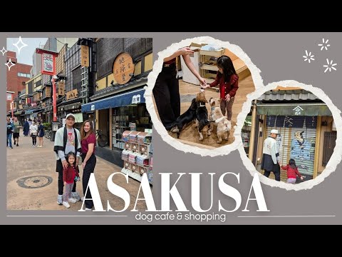 Видео: Асакуса | Лучшее темпура, кафе с собачками и магазин Don Quijote