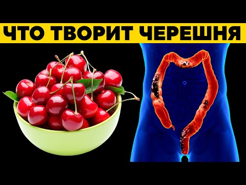 Видео: ЧЕРЕШНЯ: что творит с организмом? Почему нельзя выбрасывать листья, косточки и хвостики черешни?