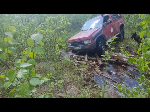 Видео: Открытие сезона металокопа в местах лесозаготовки 70 годов хорошие находки прошлогодняя разведка ужд