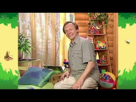 Видео: День в Шишкином Лесу. Праздник