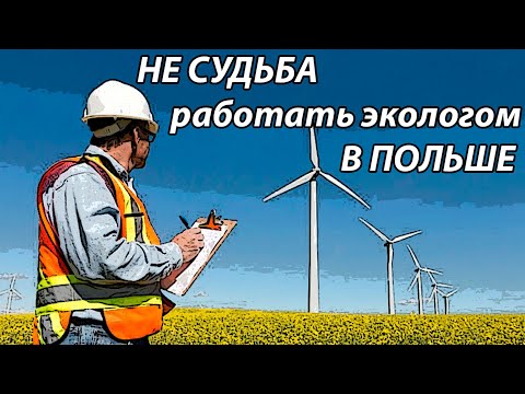 Видео: #5 Польша: как я искал работу по специальности после окончания университета или: "Мечты, мечты..."