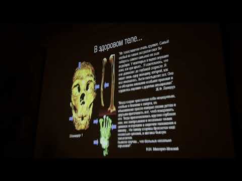 Видео: Танзания со Станиславом Дробышевским. День 8