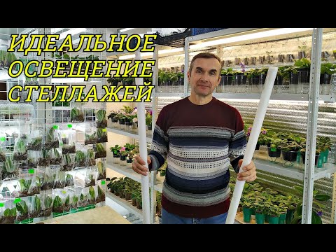Видео: Идеальное ОСВЕЩЕНИЕ СТЕЛЛАЖЕЙ 💥 для фиалок, стрептокарпусов и глоксиний