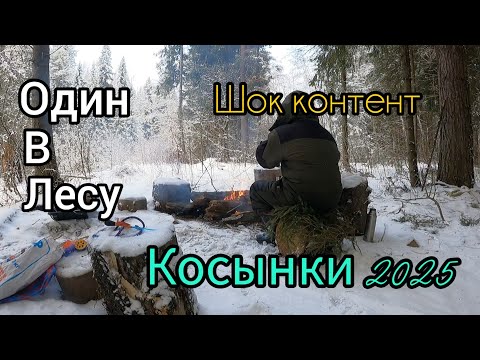 Видео: ВОТ ЭТО ДА. ПО 4 ШТУКИ В КОСЫНКУ. СНОВА ЗАРЯДИЛ КОЛОКОЛЬЧИКИ. ОДИН В ЛЕСУ.