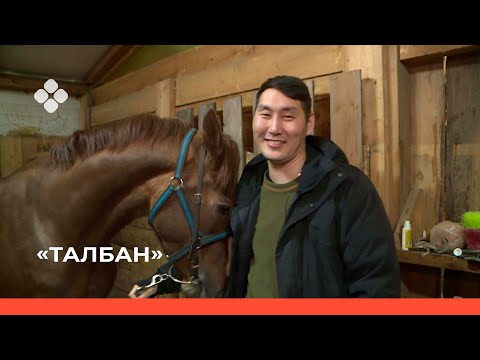 Видео: «Талбан» биэриигэ: сылгыһыт Аркадий Лукин (02.03.22)