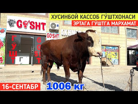 Видео: ЭРТАГА 16-СЕНТАБР ГУ́ШТГА МАРХАМАТ ХУСИНБОЙ КАССОБ ГУ́ШТХОНАСИ МАНЗИЛ УГАНЧ МАН СЕРВИС ЁНИДА !!! 