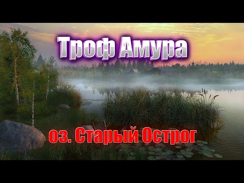 Видео: ЛОВЛЯ АМУРА  на оз. СТАРЫЙ ОСТРОГ| РУССКАЯ РЫБАЛКА 4 | СТРИМ