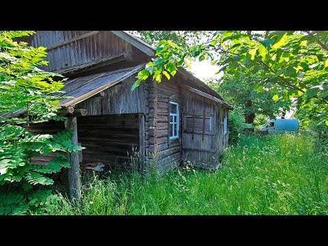 Видео: Уехал жить в заброшенную деревню на 7 дней
